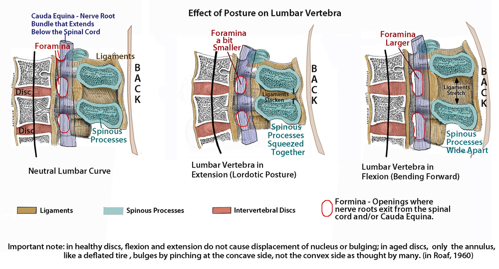 MERRILLVILLE DECOMPRESSION THERAPY