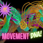 The science behind how movement changes nerve signaling to every tissue cell and organ even your DNA