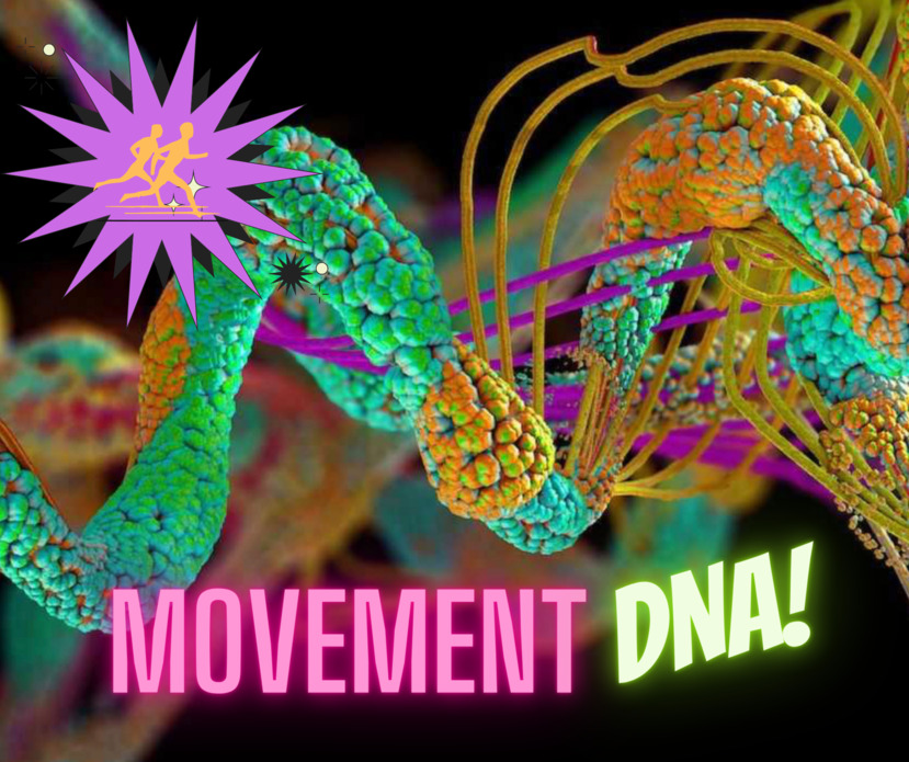 The science behind how movement changes nerve signaling to every tissue cell and organ even your DNA