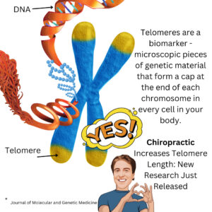 Telomere