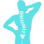 Spinal Alignment New Life